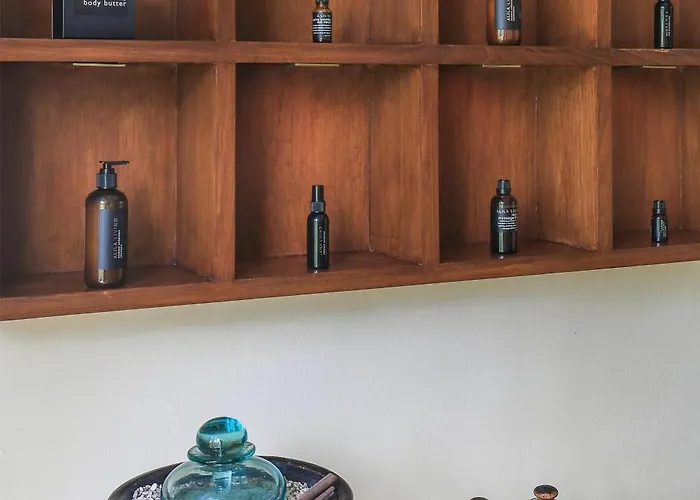 Alila Manggis リゾート チャンディダサ