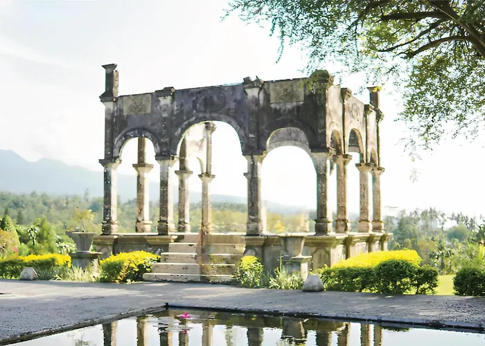 Alila Manggis
