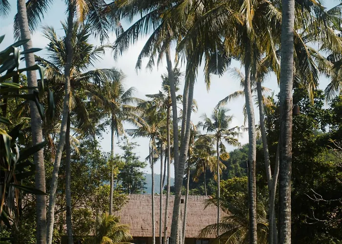 Alila Manggis